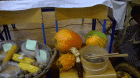 WP_20151015_005