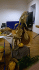 WP_20151015_006