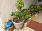 IMG-20240522-WA0003