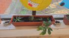 IMG-20250507-WA0003