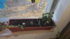IMG-20250507-WA0004