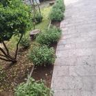 IMG-20250507-WA0006