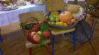 WP_20141009_008